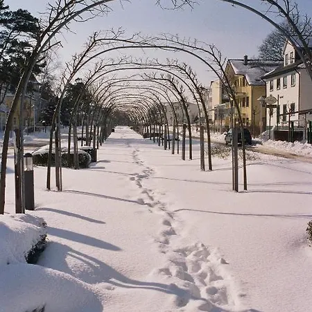 Haus Mut *